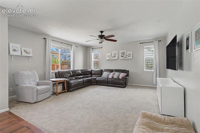 MLS Image for 7818  Lightwood  ,Colorado Springs, Colorado