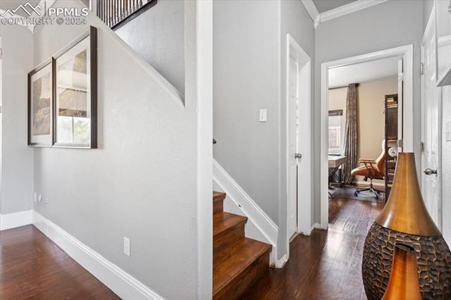 MLS Image for 7848  chasewood  ,Colorado Springs, Colorado