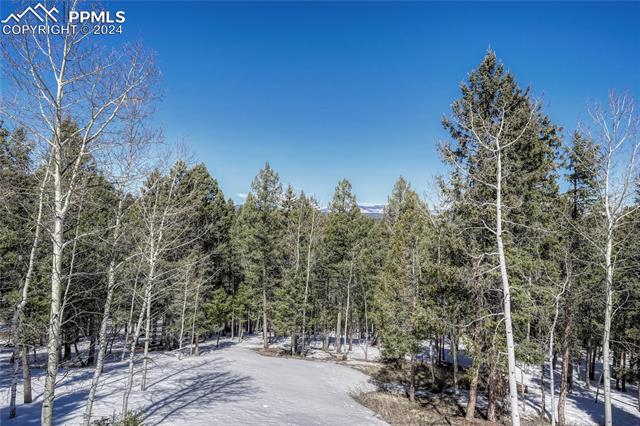 MLS Image for 1307  County Road 512  ,Divide, Colorado