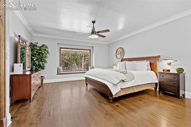 MLS Image for 4340  Foxchase  ,Colorado Springs, Colorado
