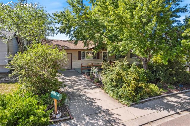3709  Anemone  , colorado springs  House Search MLS Picture
