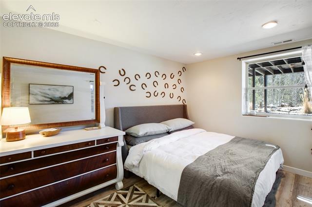 MLS Image for 403  Pioneer Creek  ,Florissant, Colorado