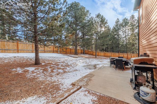 MLS Image for 21  Shadowood  ,Woodland Park, Colorado