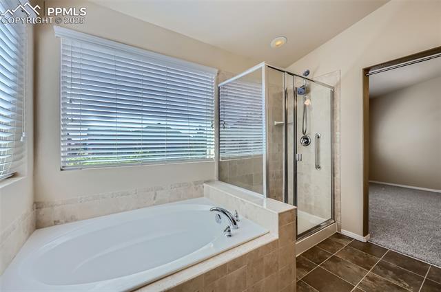 MLS Image for 6041  Leon Young  ,Colorado Springs, Colorado