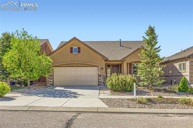 MLS Image for 6041  Leon Young  ,Colorado Springs, Colorado