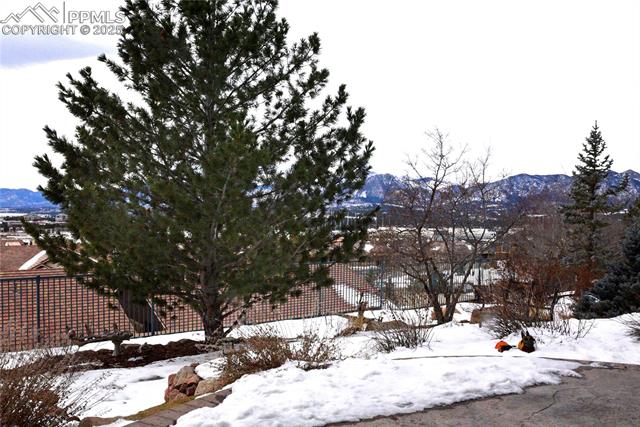 MLS Image for 276  Coyote Willow  ,Colorado Springs, Colorado