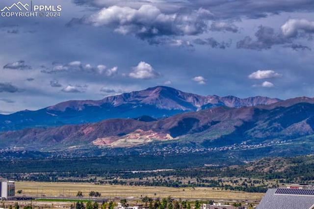 MLS Image for 11319  Modern Meadow  ,Colorado Springs, Colorado