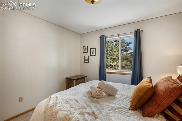 MLS Image for 517  Crystal Peak  ,Florissant, Colorado