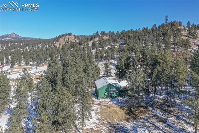 MLS Image for 517  Crystal Peak  ,Florissant, Colorado