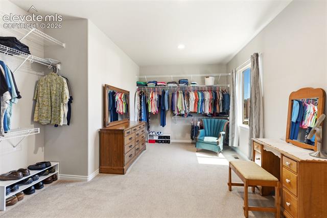 MLS Image for 3729  Floating Cloud  ,Colorado Springs, Colorado