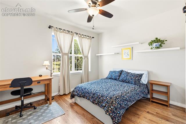 MLS Image for 3729  Floating Cloud  ,Colorado Springs, Colorado