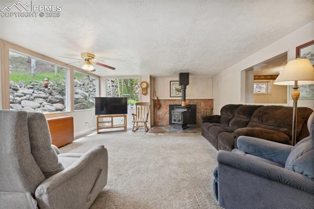 MLS Image for 1200 S Woodland  ,Woodland Park, Colorado