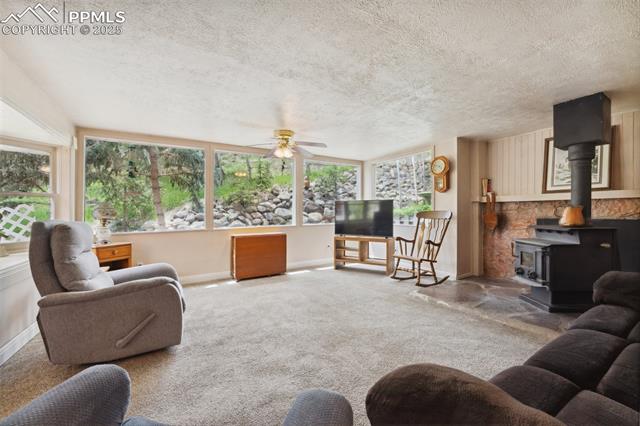 MLS Image for 1200 S Woodland  ,Woodland Park, Colorado