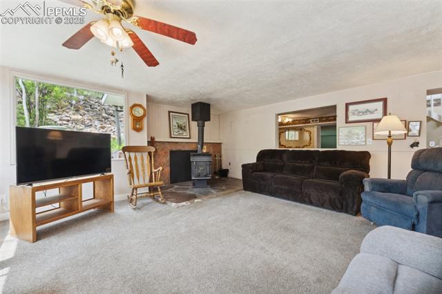 MLS Image for 1200 S Woodland  ,Woodland Park, Colorado