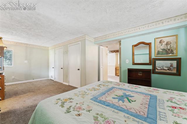 MLS Image for 1200 S Woodland  ,Woodland Park, Colorado
