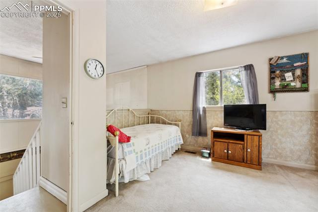MLS Image for 1200 S Woodland  ,Woodland Park, Colorado