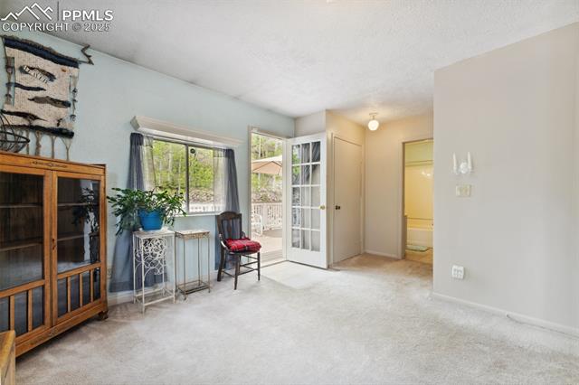 MLS Image for 1200 S Woodland  ,Woodland Park, Colorado