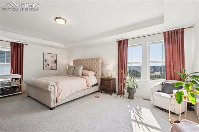 MLS Image for 5936  Callan  ,Colorado Springs, Colorado