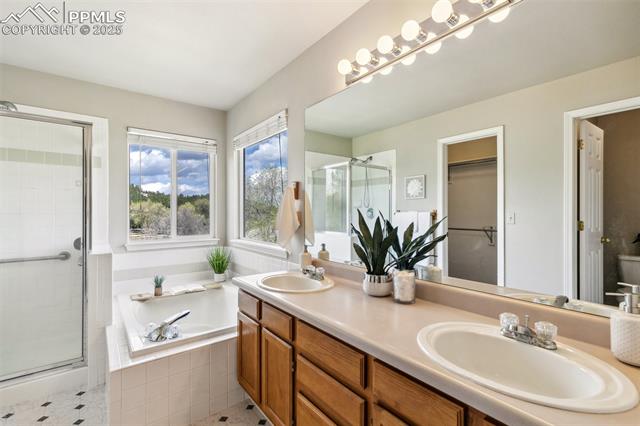 MLS Image for 7665  Calloway  ,Colorado Springs, Colorado