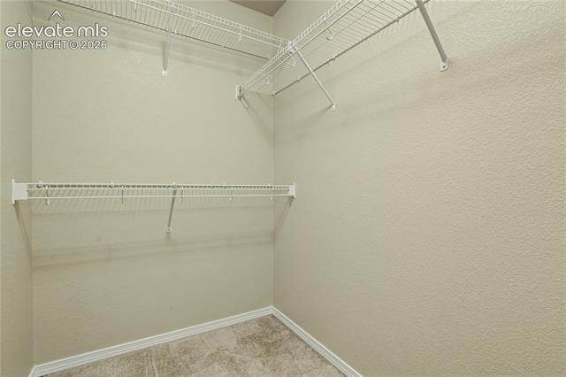 MLS Image for 1616  Rustlers Roost  ,Colorado Springs, Colorado