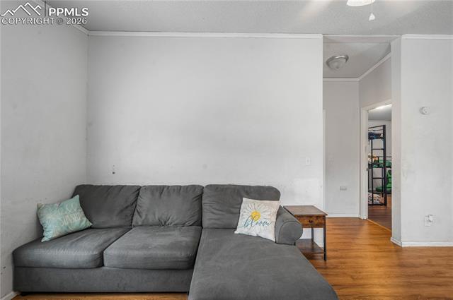 MLS Image for 111  Mojave  ,Fountain, Colorado
