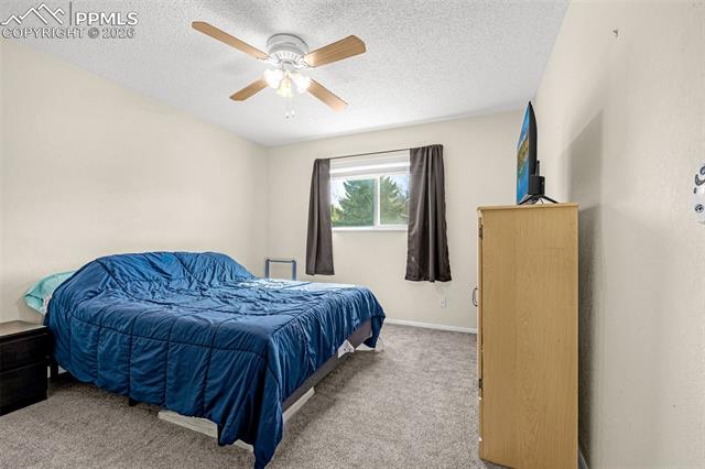 MLS Image for 4620  Bunchberry  ,Colorado Springs, Colorado