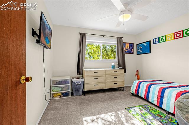 MLS Image for 4620  Bunchberry  ,Colorado Springs, Colorado