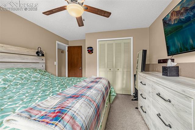 MLS Image for 4620  Bunchberry  ,Colorado Springs, Colorado