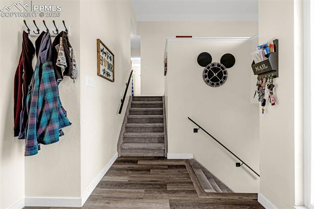 MLS Image for 4620  Bunchberry  ,Colorado Springs, Colorado