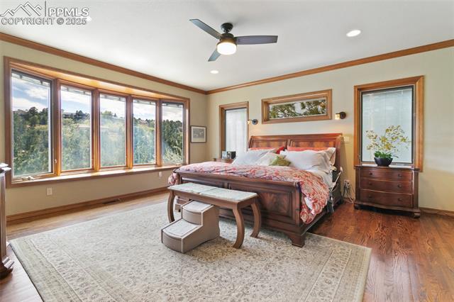 MLS Image for 670  Popes Valley  ,Colorado Springs, Colorado