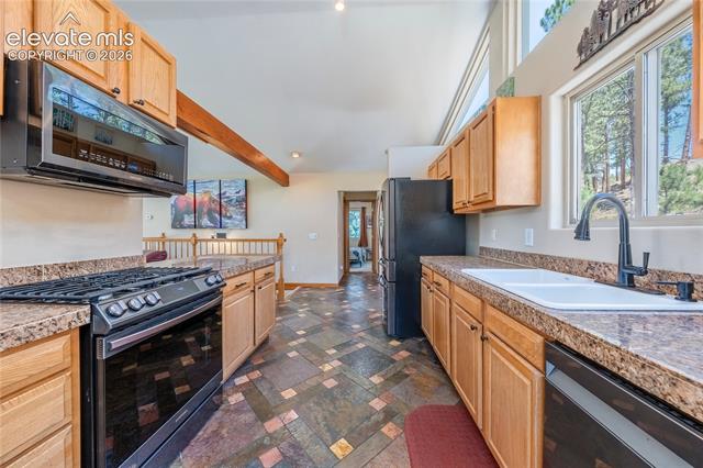 MLS Image for 15970  Willow  ,Woodland Park, Colorado