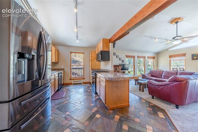 MLS Image for 15970  Willow  ,Woodland Park, Colorado