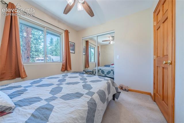 MLS Image for 15970  Willow  ,Woodland Park, Colorado