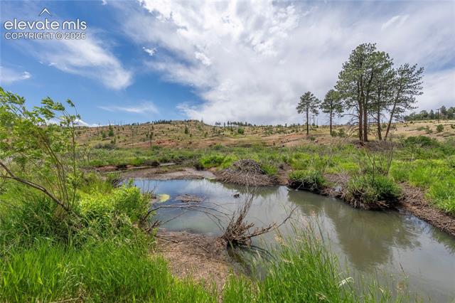 MLS Image for 15970  Willow  ,Woodland Park, Colorado