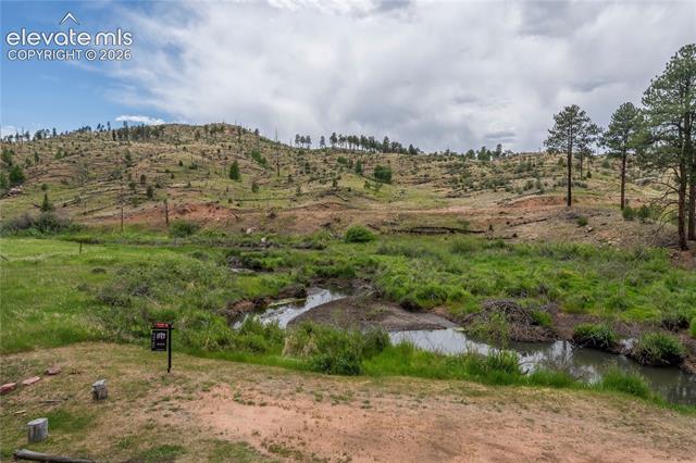 MLS Image for 15970  Willow  ,Woodland Park, Colorado