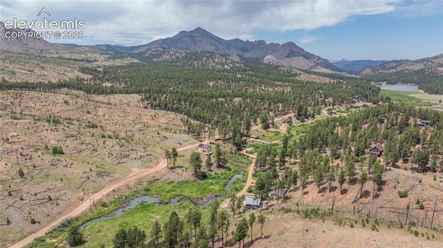 MLS Image for 15970  Willow  ,Woodland Park, Colorado