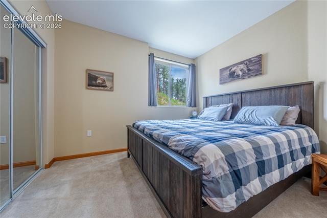 MLS Image for 15970  Willow  ,Woodland Park, Colorado