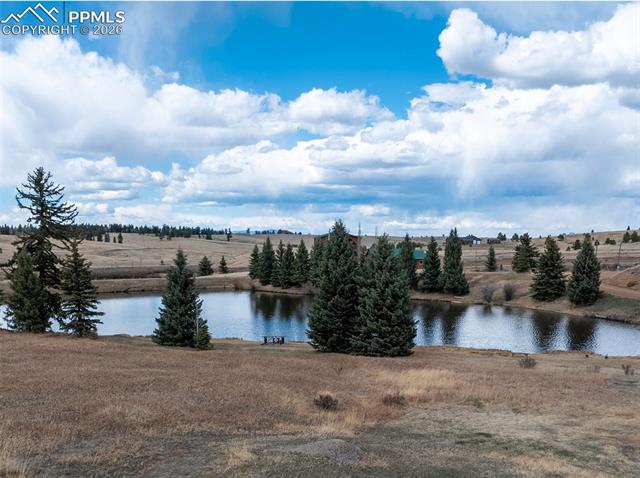 MLS Image for 19  Worley  ,Divide, Colorado
