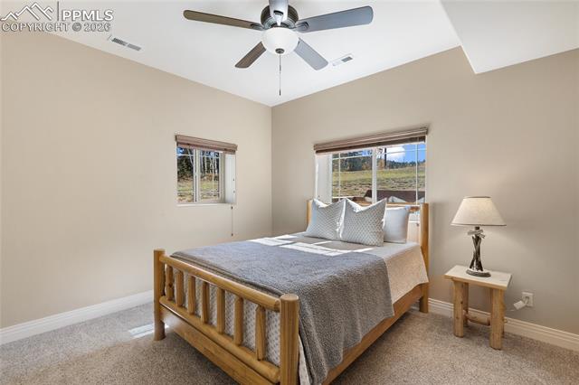 MLS Image for 19  Worley  ,Divide, Colorado