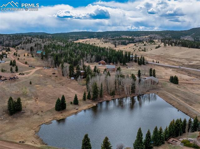 MLS Image for 19  Worley  ,Divide, Colorado