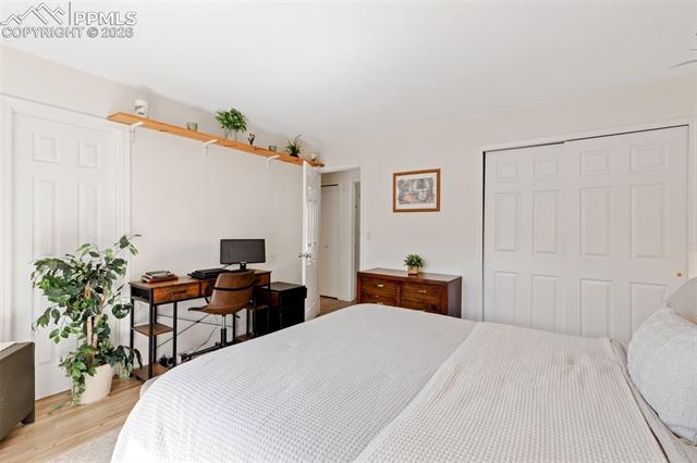 MLS Image for 7150  Silver Torch  ,Colorado Springs, Colorado