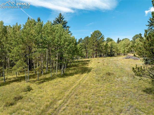 MLS Image for 284  County Road 511  ,Divide, Colorado