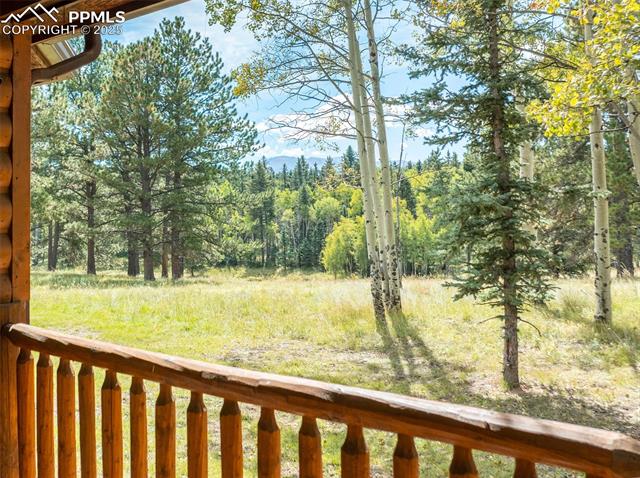 MLS Image for 284  County Road 511  ,Divide, Colorado