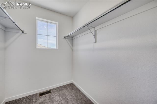MLS Image for 2640  Lower Crags  ,Colorado Springs, Colorado