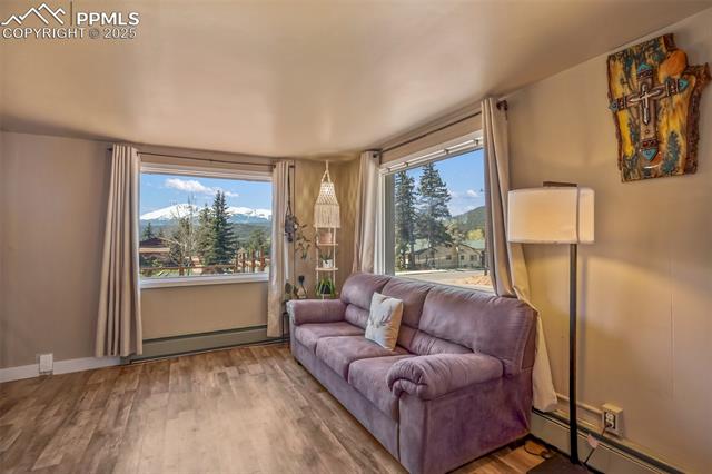 MLS Image for 401 N Fairview  ,Woodland Park, Colorado
