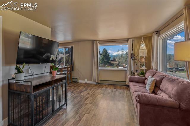 MLS Image for 401 N Fairview  ,Woodland Park, Colorado