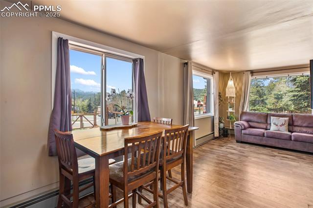 MLS Image for 401 N Fairview  ,Woodland Park, Colorado