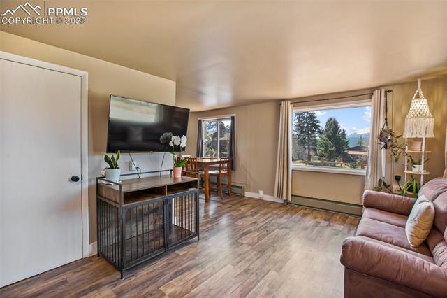 MLS Image for 401 N Fairview  ,Woodland Park, Colorado