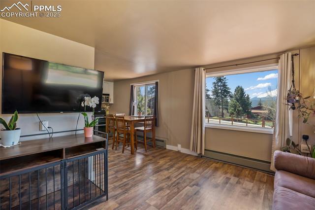 MLS Image for 401 N Fairview  ,Woodland Park, Colorado