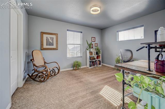 MLS Image for 2254  Green Grass  ,Colorado Springs, Colorado